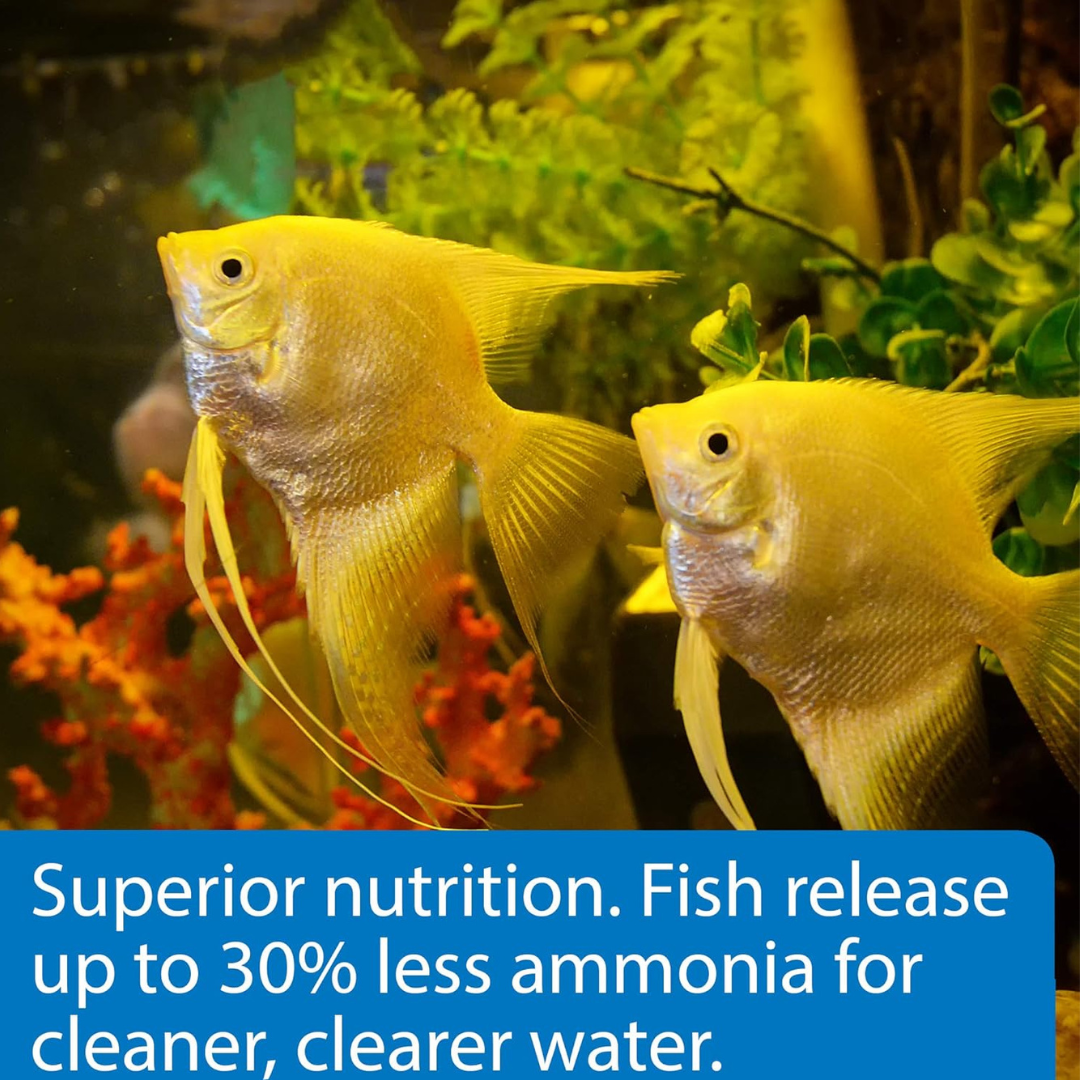 API Flakes Tropical Fish Food 1.1 oz (31 g)