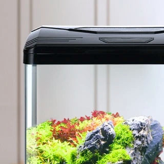 Desktop Small Fish Tank Black 31×20.5×34cm