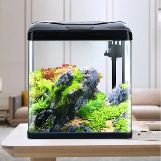Desktop Small Fish Tank Black 31×20.5×34cm