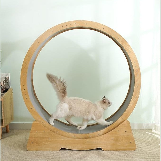 Modern Wooden treadmill Cat Wheel 90*34*94.5cm