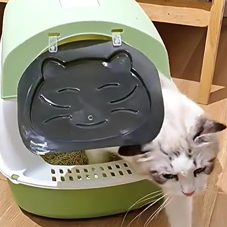 Cute Green Covered Cat Litter Box