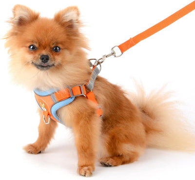 Harness Suede Reflective Chest Orange S