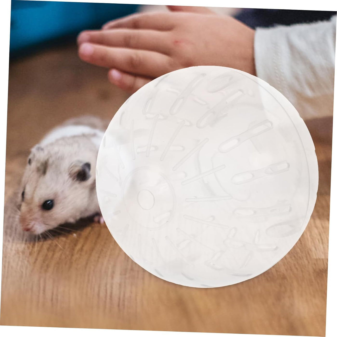 Mini trotting ball red small pet toy b red 10 cm