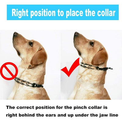 Stimulation Collar 3.0×50 Cap