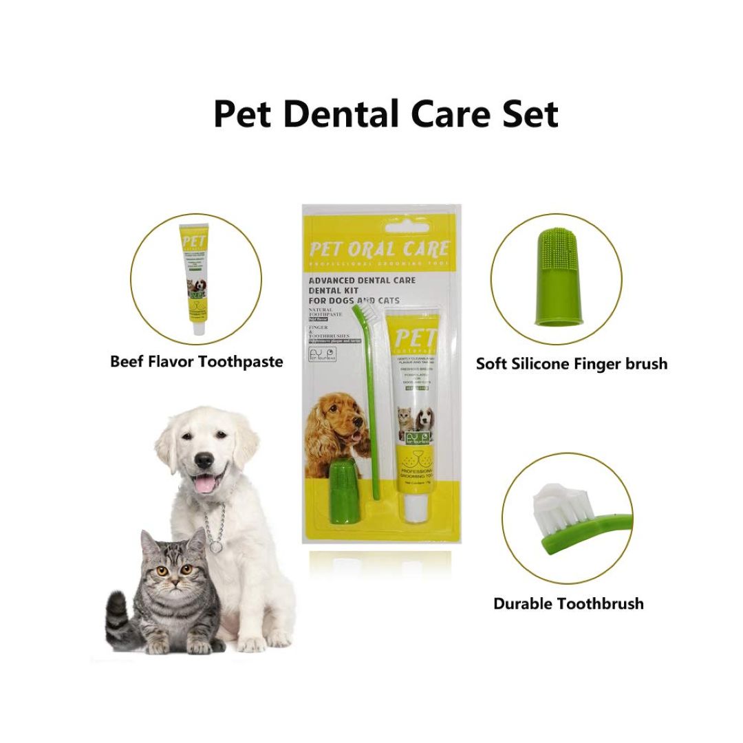 Oral Care Pet Teeth Brush Sets 75 G