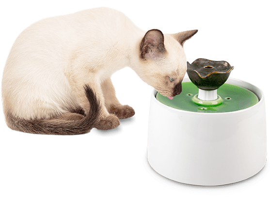 Afb Liftstyle 4 Pets - Lotus Ceramic Fountain - 2 Liters