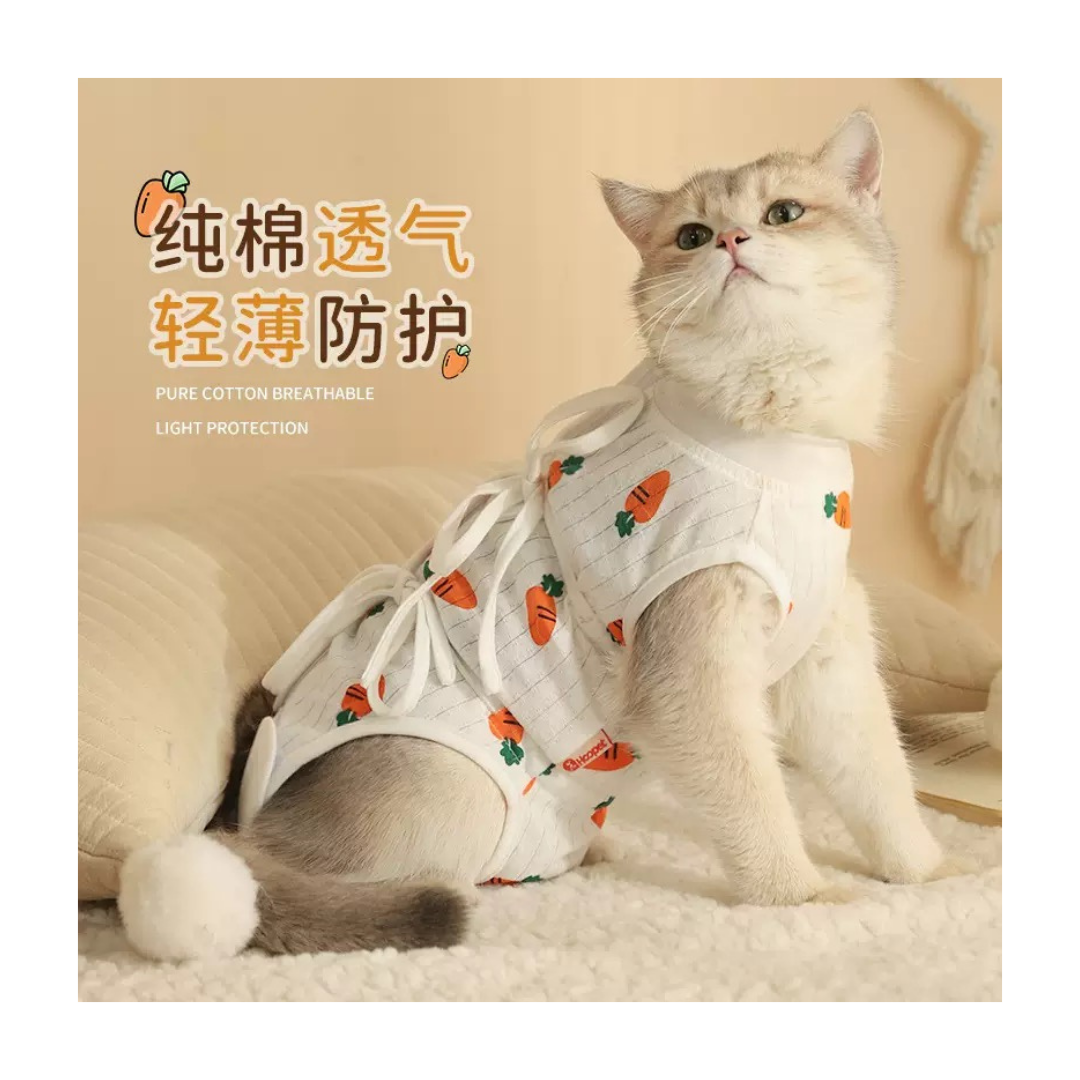 Fruit &amp; Carrot Print Spay/Neuter Recovery Suit – Pure Cotton &; Breathable