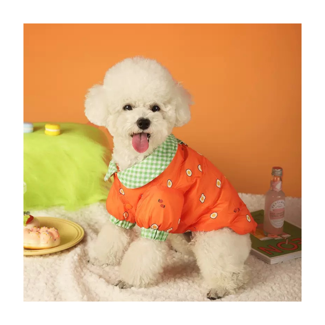 Stylish Two-Legged Orange Puffer Jacket with White Print for Pets