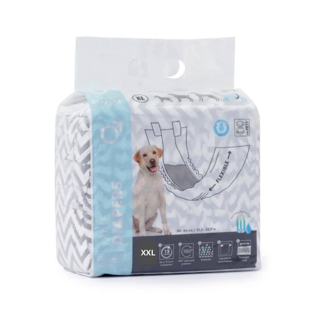 DIAPERS Male - XXL - 12 pcs