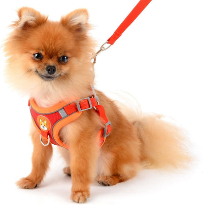 Harness Suede Reflective Chest Red S