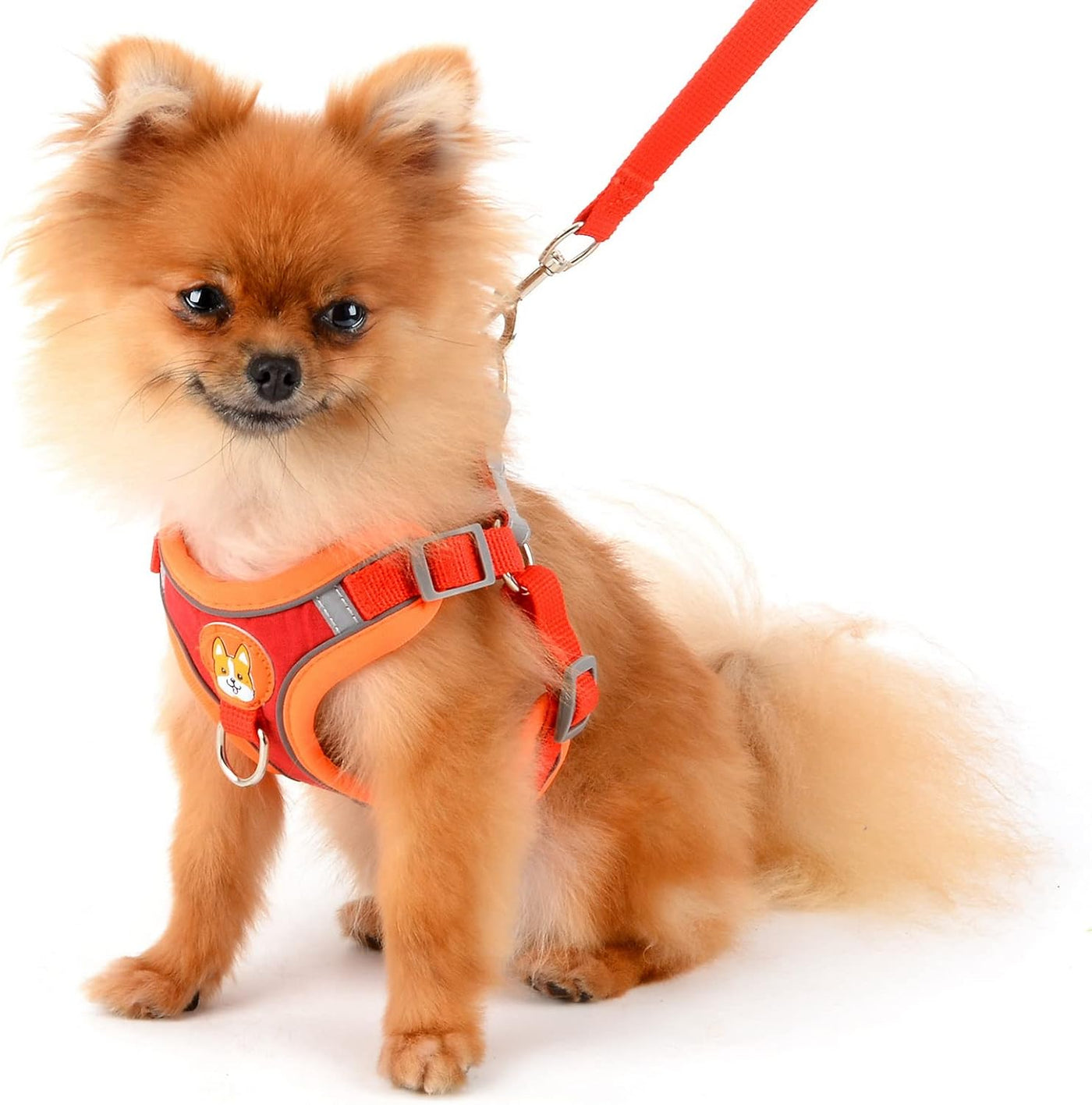 Harness Suede Reflective Chest Red M