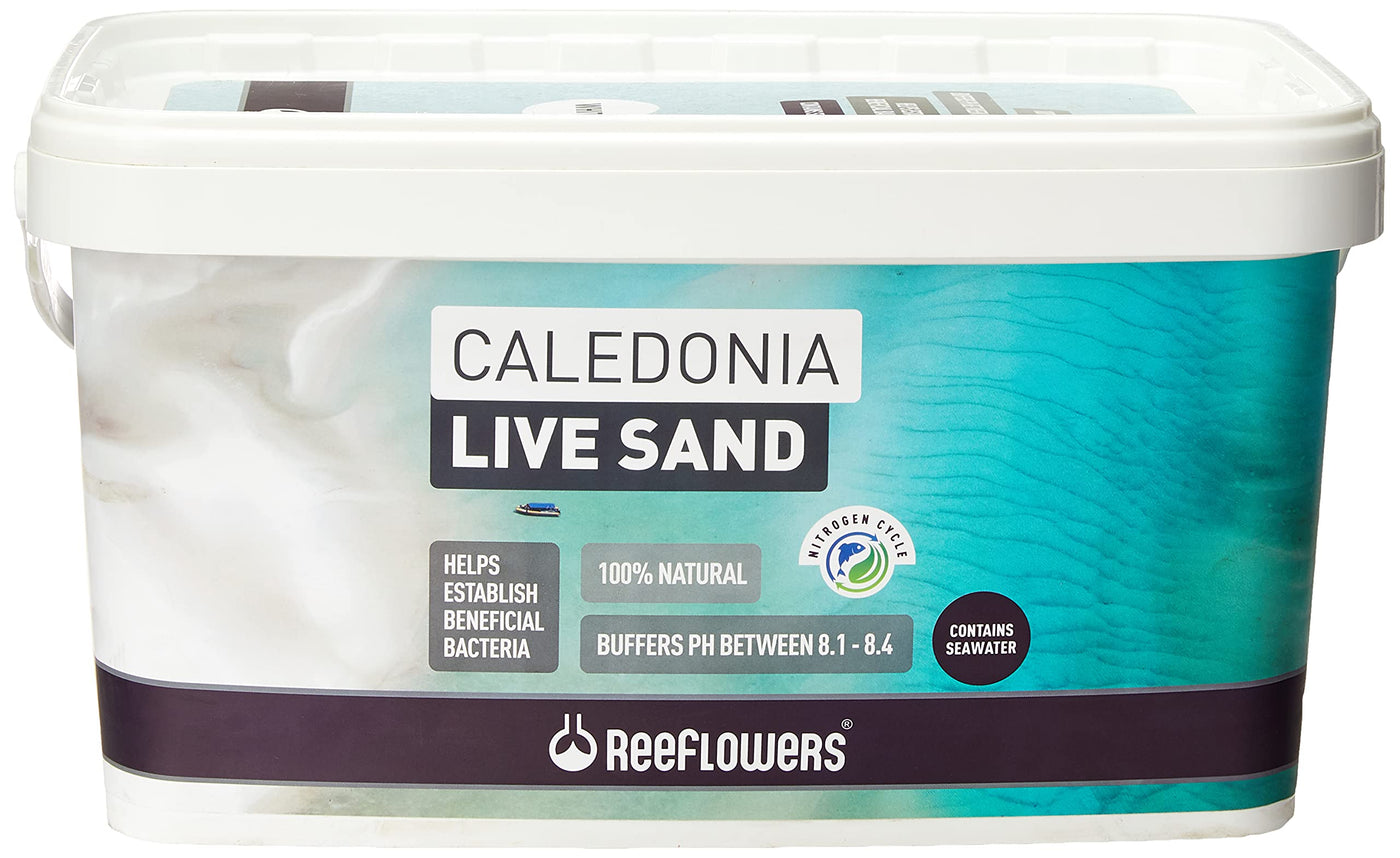 Reeflowers Caledonia Live Sand - Purple 18 kg