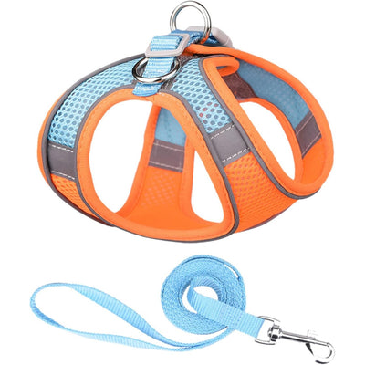 Harness Colorblocked Mesh Bust Orange Blue L