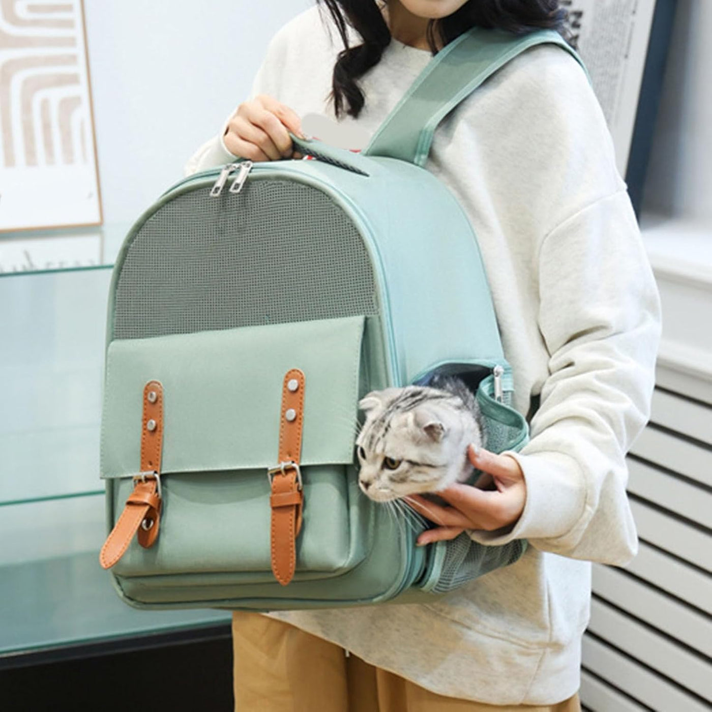 Large Capacity Portable Pet Backpack Green 39×32×25cm