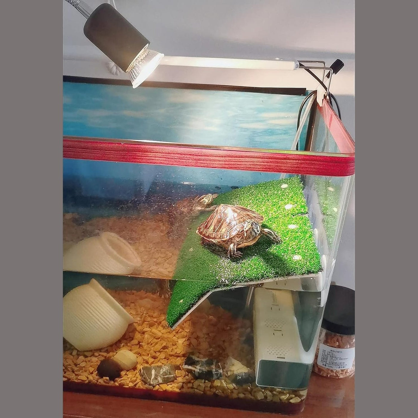 Turtle Platform With Fake Grass 20×21cm