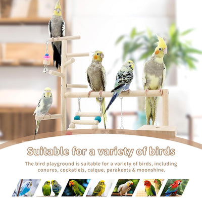Bird Toy For Wooden Standing 37×26×44cm