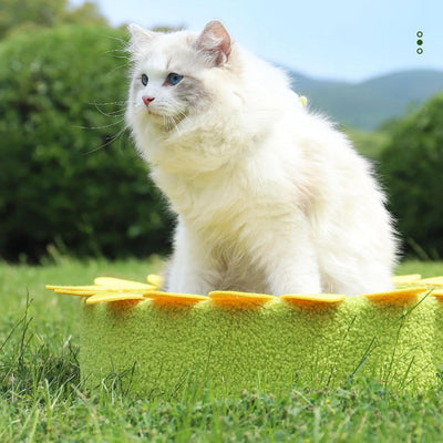 Modern Yellow Sunflower Cat Scratcher 41×41×10cm