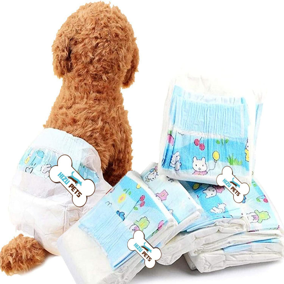 Premium Diapers 10`S S