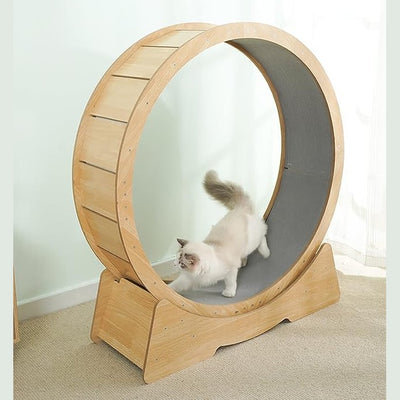 Modern Wooden treadmill Cat Wheel 90*34*94.5cm