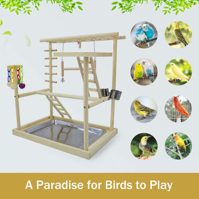 Happy Bird Toy For Wooden Standing 48×33.5×54.5cm