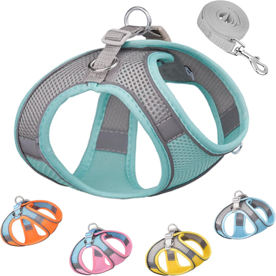 Harness Colorblocked Mesh Bust Gray Blue Xxs