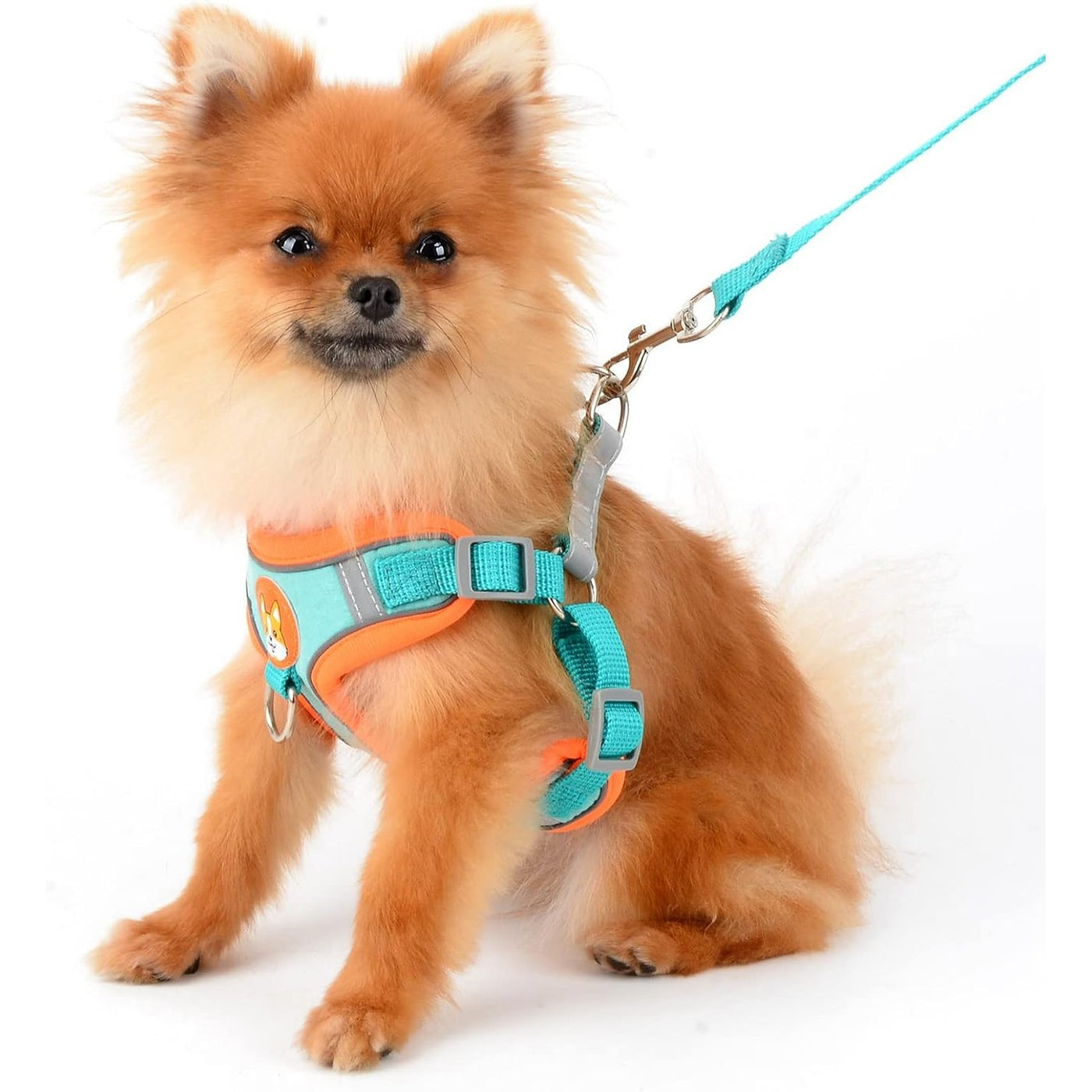 Harness Suede Reflective Chest Blue Xl
