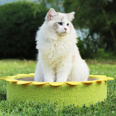 Modern Yellow Sunflower Cat Scratcher 41×41×10cm