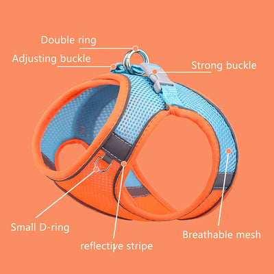 Harness Colorblocked Mesh Bust Orange Blue Xxs