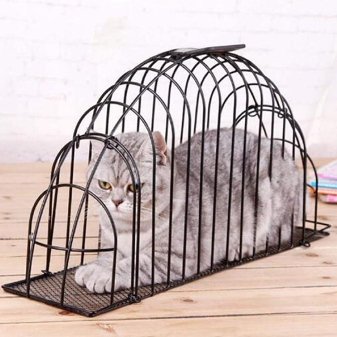 Pets Cat Bathing Cage Large