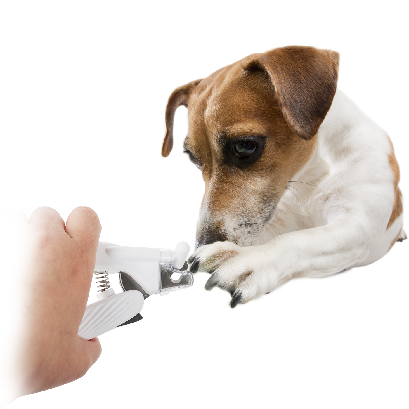 AFP Pet Salon - LED Nail Clipper