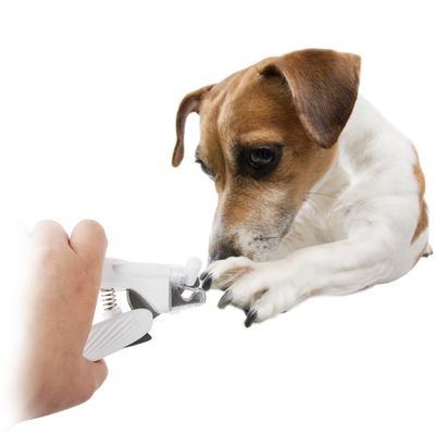 AFP Pet Salon - LED Nail Clipper