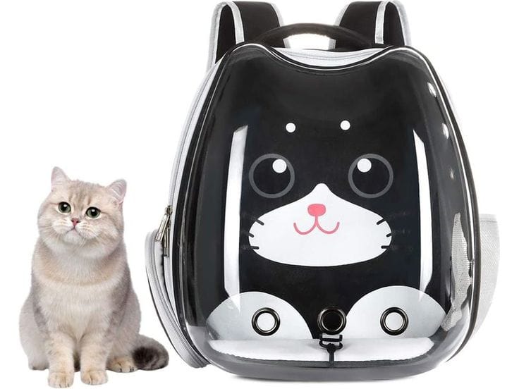 Black Kitty Pet Carrier