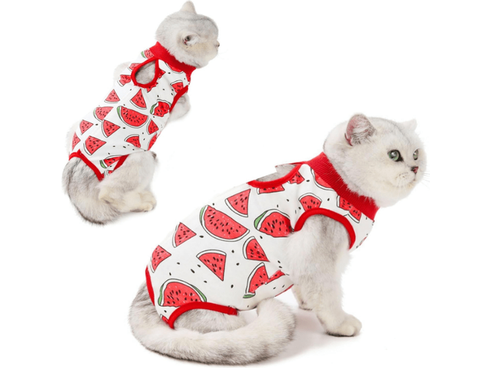 Pet Clothes Watermelon