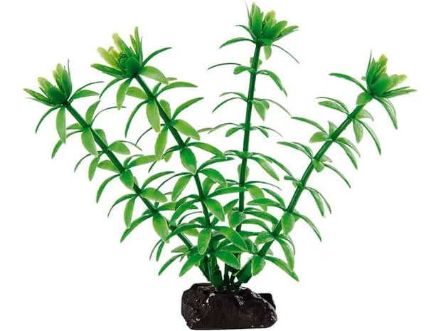 Blue 9055 Egeria Plastic Plant