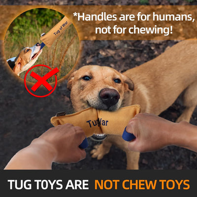 Tug Of War Canvas Dog Toy Yellow 12×40×5.5cm 86G