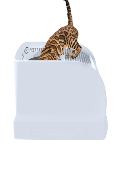 IMAC Frida Light  Blue Cat Litter Box