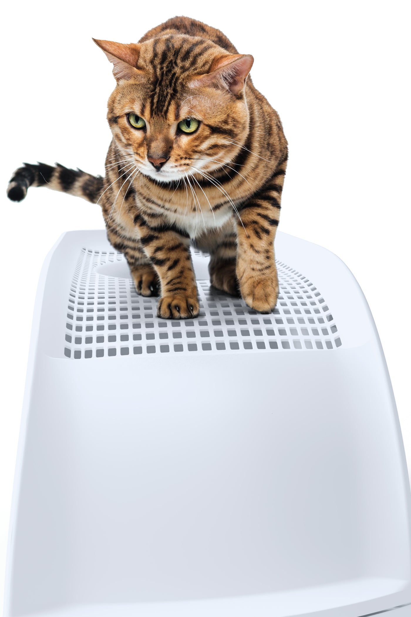 IMAC Frida Light  Blue Cat Litter Box