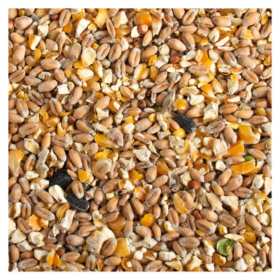 Chicken mix 4,5KG