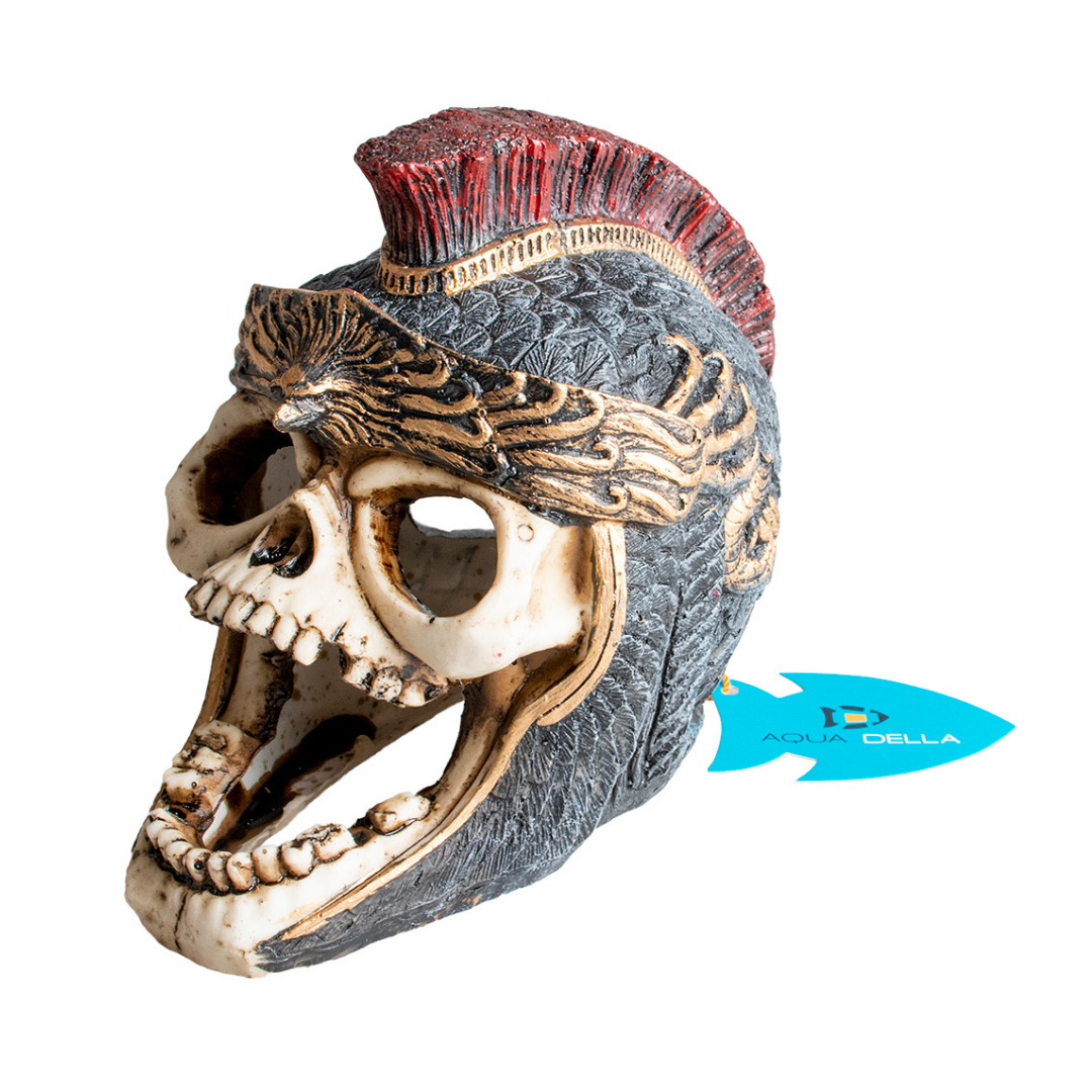 SKULL ROMAN L L - 18,2x11,7x15CM