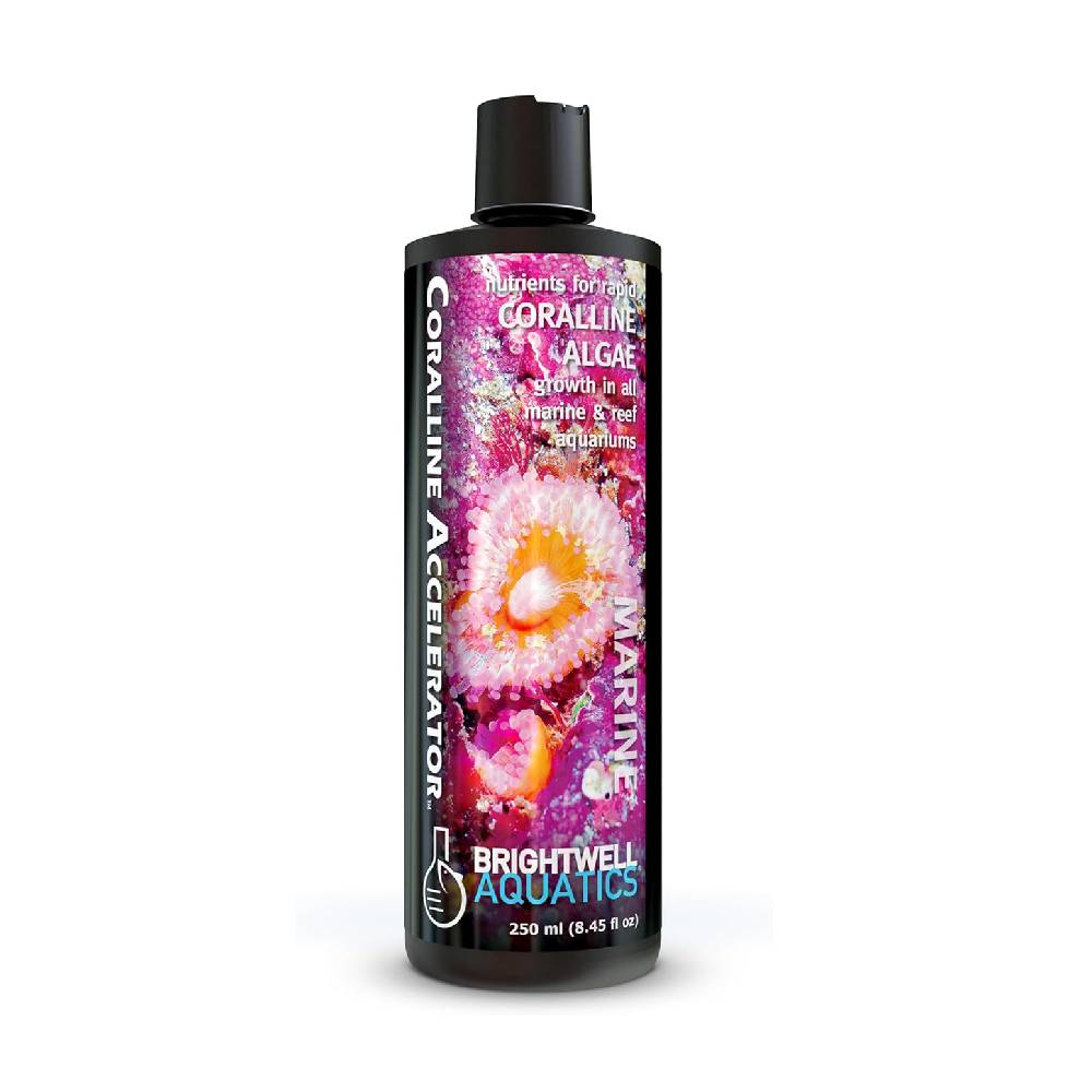 Brightwell Coralline Accelerator -  250 ML