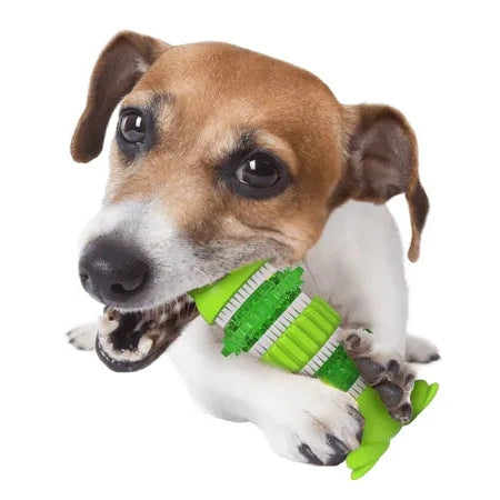 AFP (All For Paws) Dental Chews - Dental Frog