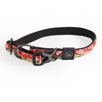AFP (All For Paws) Dog Leash - Camouflage