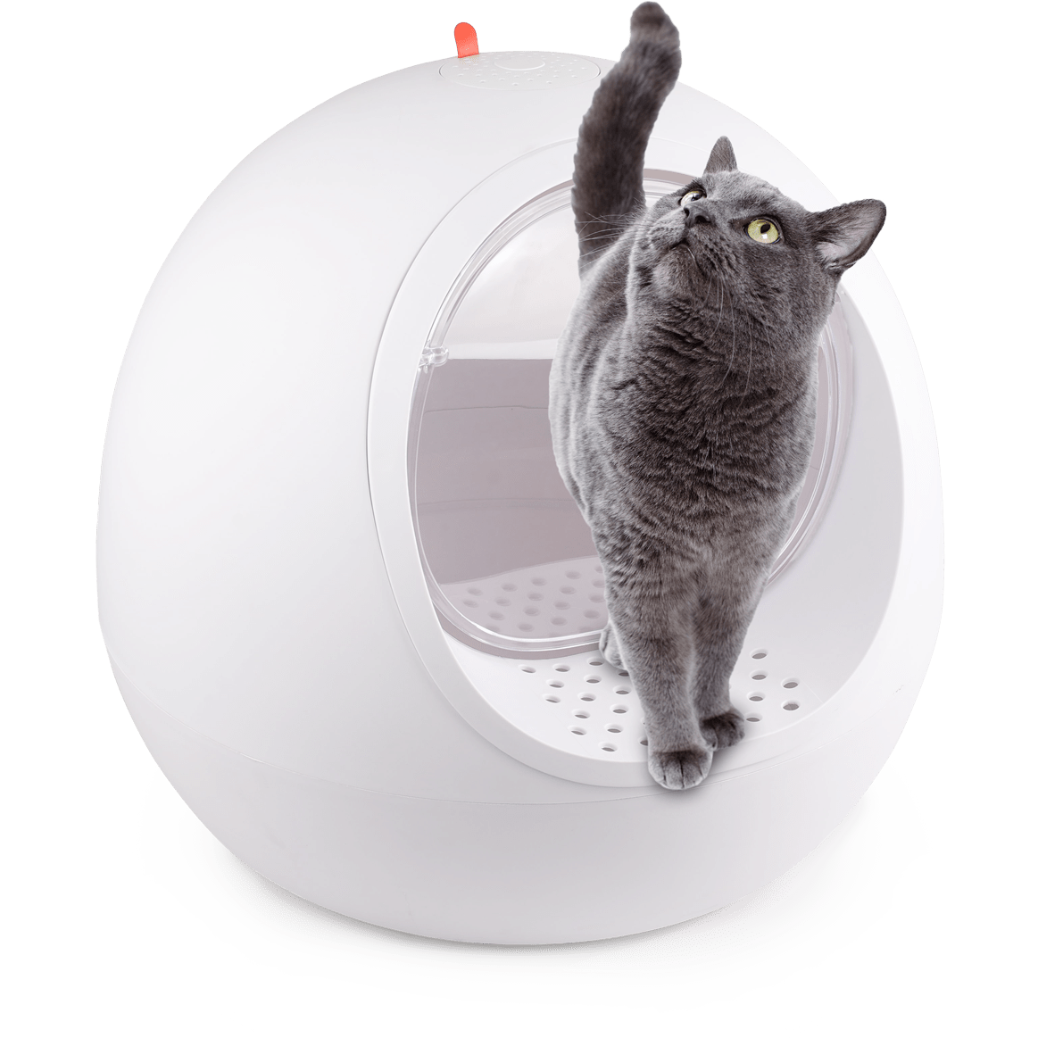 AFP (All For Paws) Go Fresh - Dome Cave Cat Litter Box