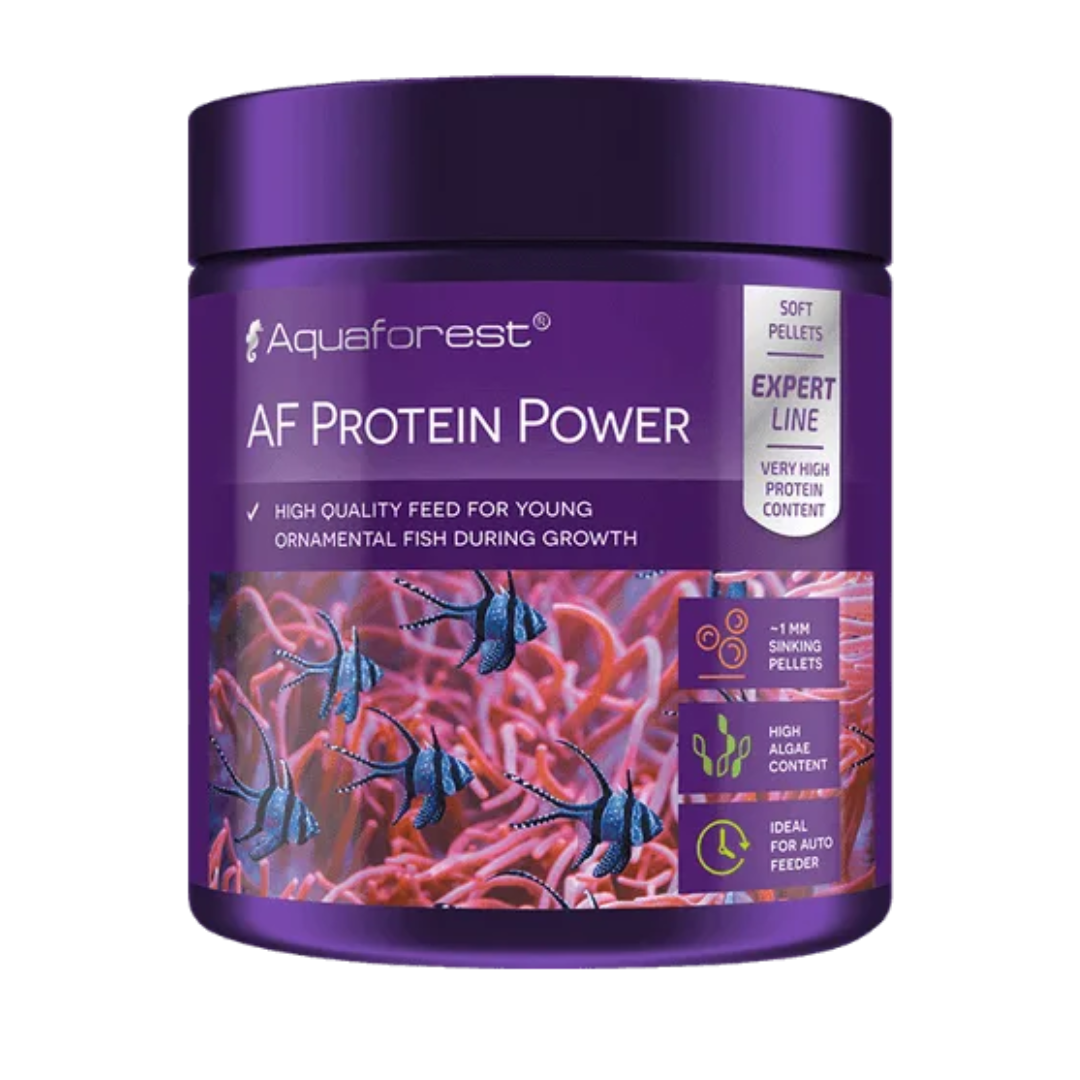AF Protein Power 120g