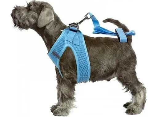 PAWISE Air Mesh Soft Harness S w/1.2m leash