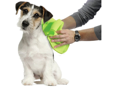 Extra Absorbent PVA Towel - 66x43 cm