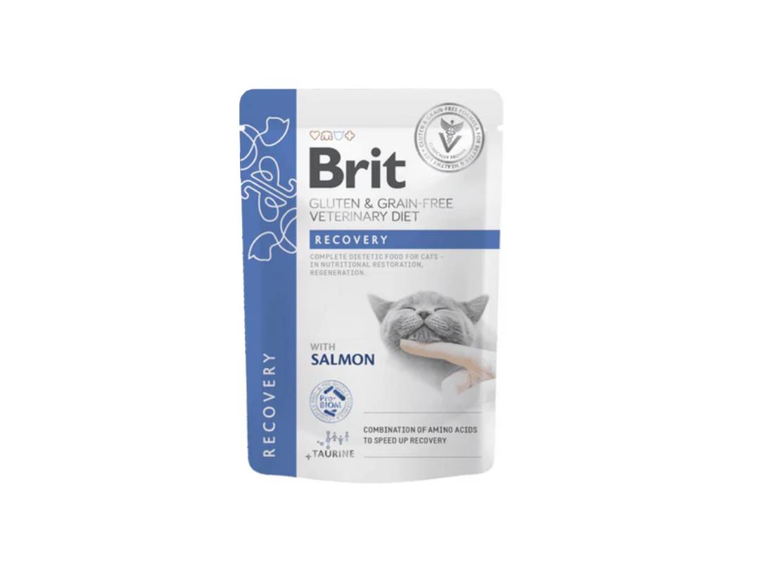 Brit Grain & Gluten Free VD Cat Pouch fillets in Gravy Recovery 85 g