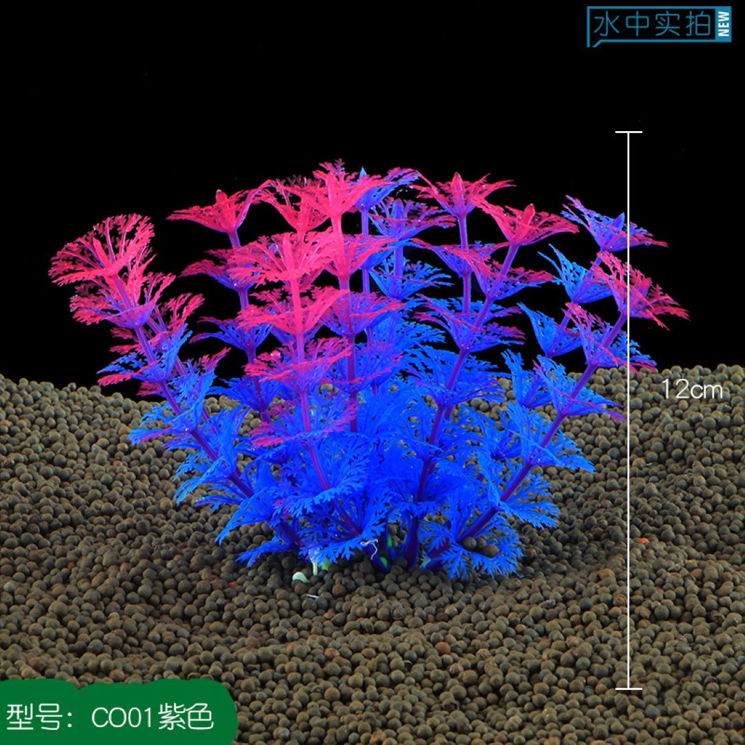 Blue & Pink Coral-Like Aquarium Plant