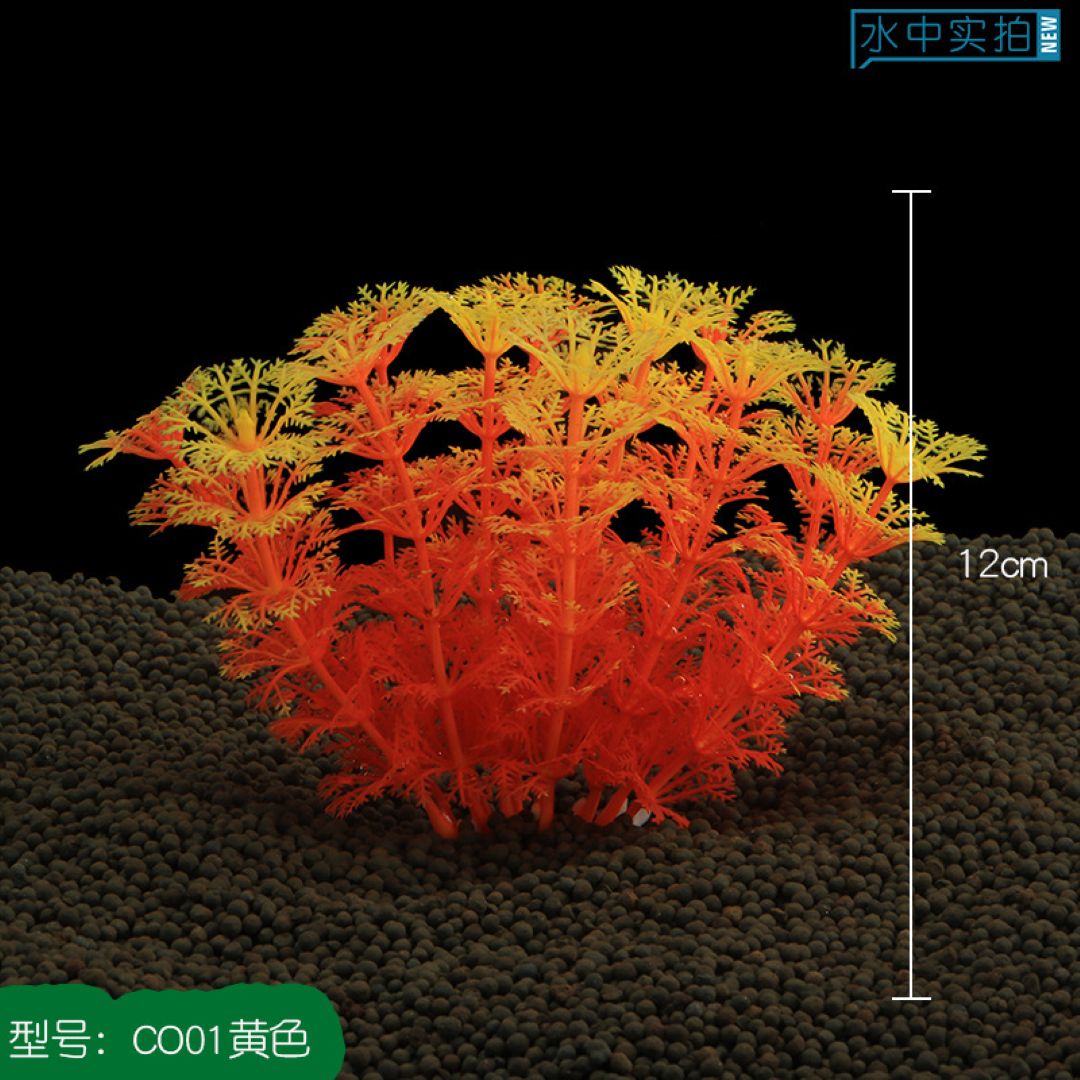 Orange & Yellow Coral-Like Aquarium Plant