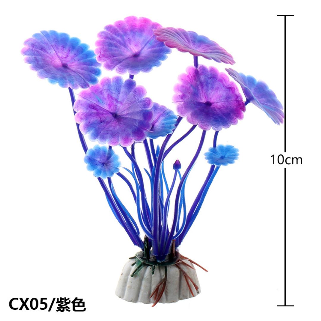 Blue & Purple Round Leaf Aquarium Plant 10 cm